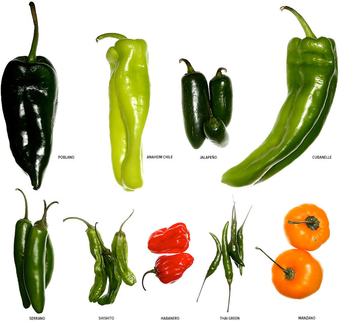 types-of-hot-peppers.jpg